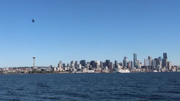 Żeglarstwo Lake Union Waszyngton Srattle Waszyngton — Wideo stockowe