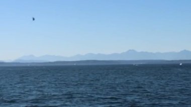 Washington Gölü, Srattle, Washington 'da