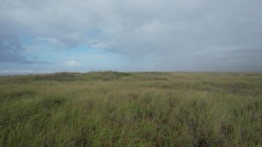 Griffith Cuma Parkı ve Copalis plajı üzerinde uçuyor.