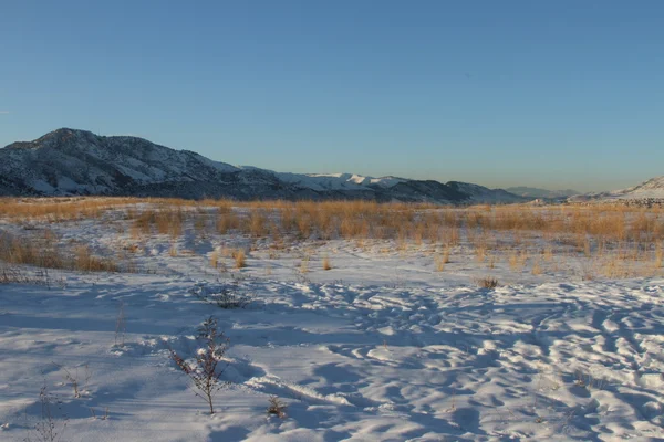 Invierno en Aspen — Foto de Stock