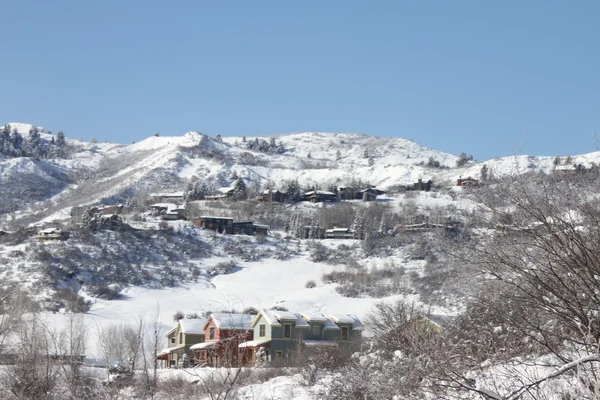 Ο χειμώνας στο Aspen — Φωτογραφία Αρχείου