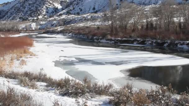 Foglie di ghiaccio nel fiume — Video Stock