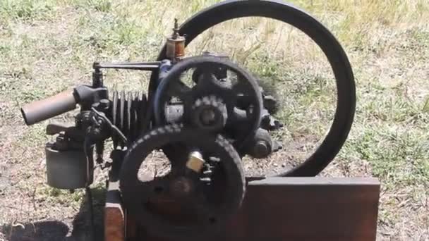 Steam engines at work — Stock Video