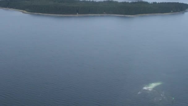 Vista aerea di alaska — Video Stock