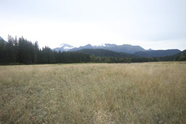 Kartal devlet beach, juneau alaska