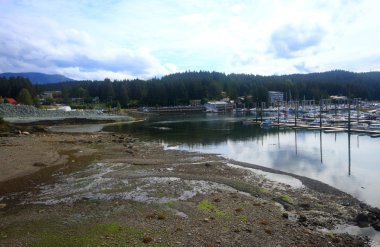 Juneau Alaska - şehir ve manzara