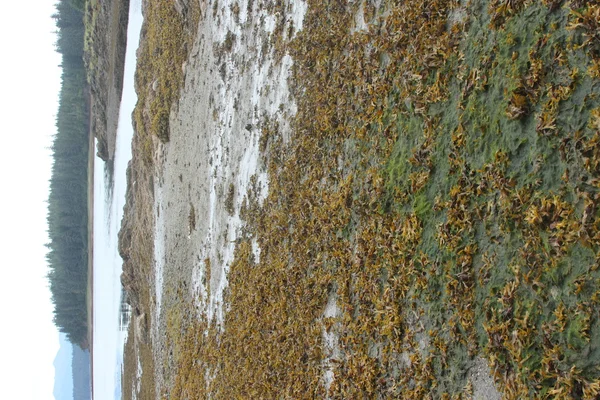 アラスカの内部通路 — ストック写真