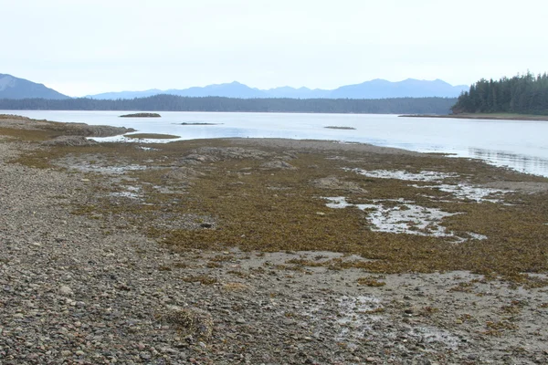 Alaska inner passage — Stock Photo, Image