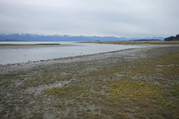 Playa del estado del águila, alaska juneau —  Fotos de Stock