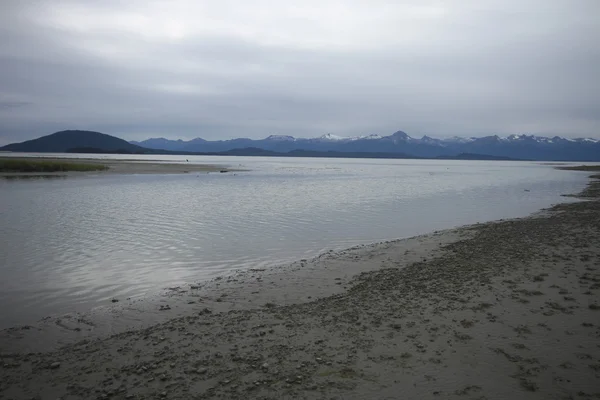 Kartal devlet beach, juneau alaska — Stok fotoğraf