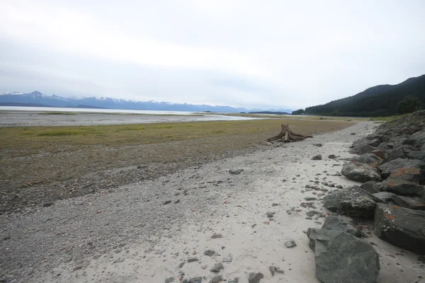 Κρατική παραλία αετού, juneau alaska — Φωτογραφία Αρχείου