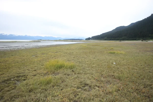 Aquila spiaggia statale, juneau alaska — Foto Stock