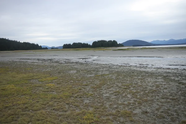 Aquila spiaggia statale, juneau alaska — Foto Stock