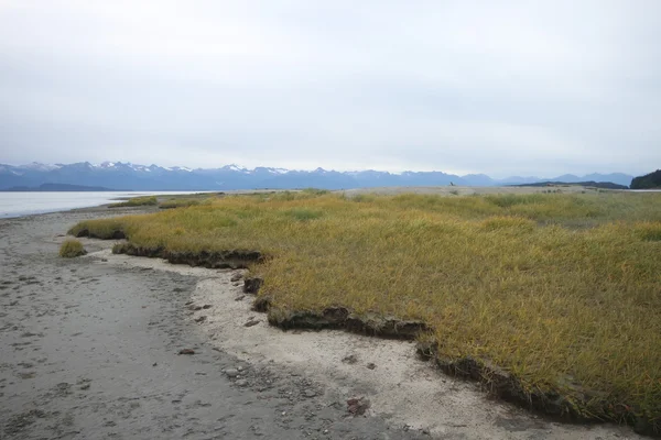Playa del estado del águila, alaska juneau — Foto de Stock