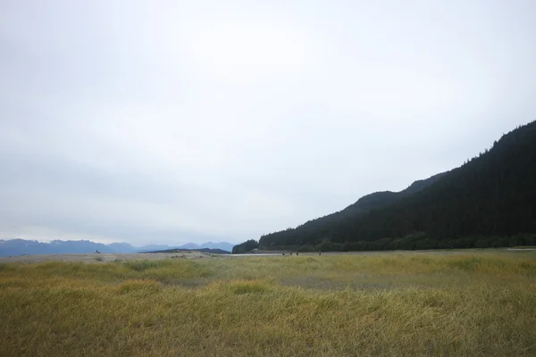 Playa del estado del águila, alaska juneau — Foto de Stock