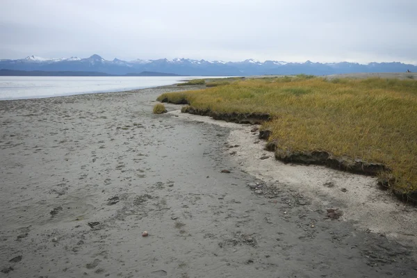 Playa del estado del águila, alaska juneau —  Fotos de Stock