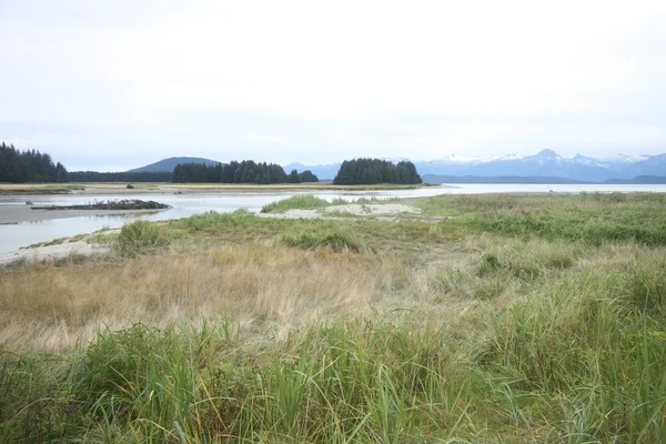 Eagle staat strand, juneau, alaska — Stockfoto