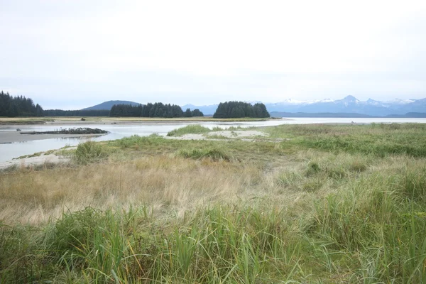 Eagle state beach, juneau alaska — Stockfoto