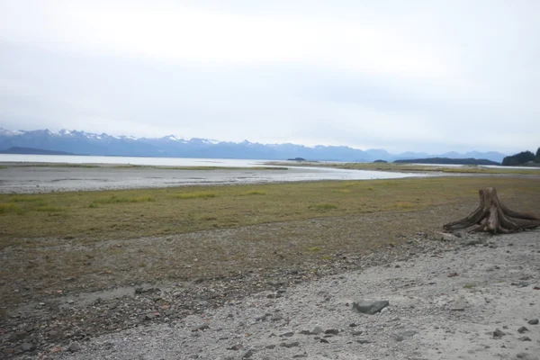 Eagle State Strand, juneau alaska — Stockfoto