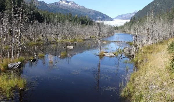 Juneau Alaska - şehir ve manzara — Stok fotoğraf