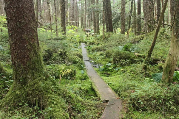 Juneau Alaska - Città e paesaggi — Foto Stock