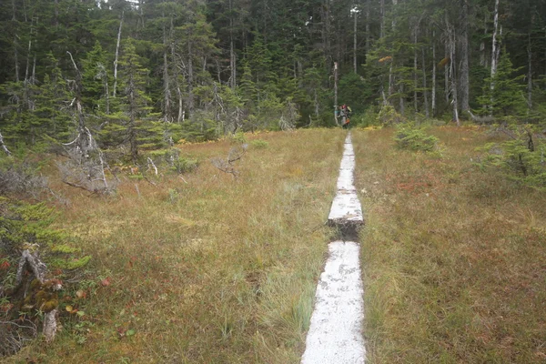 Juneau Alaska Cidade e Paisagens — Fotografia de Stock