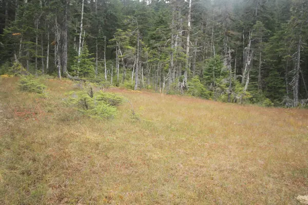 Juneau Alaska - şehir ve manzara — Stok fotoğraf