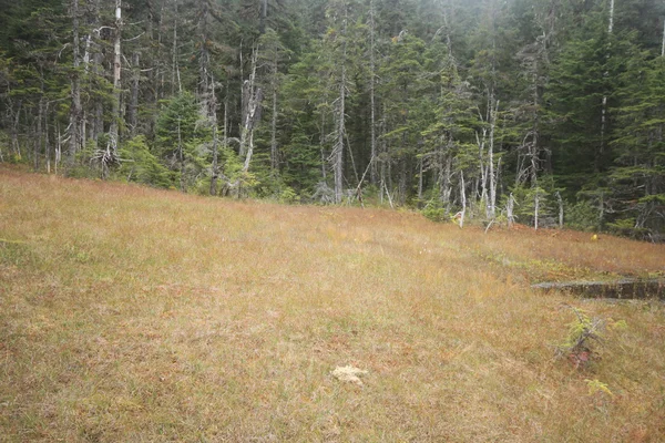 Juneau Alaska Cidade e Paisagens — Fotografia de Stock