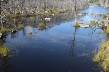 Mendenhall Buzulu; Juneau, Alaska