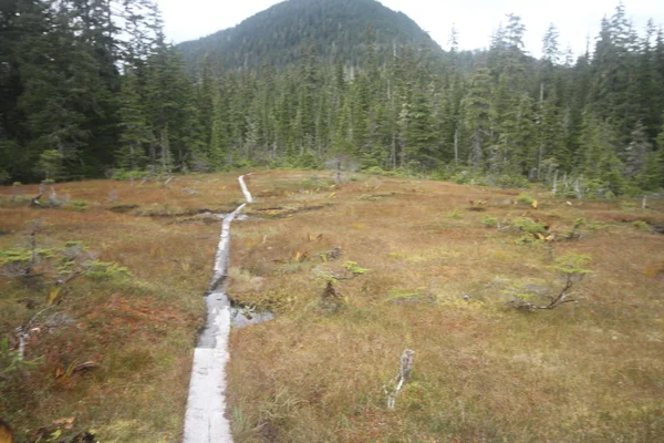 Alaska Juneau - πόλη και τοπία — Φωτογραφία Αρχείου