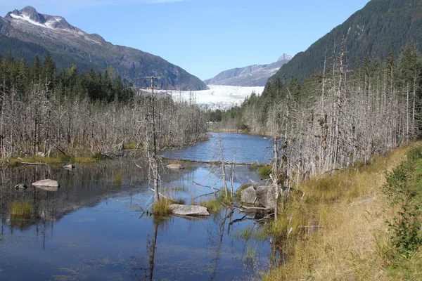 Mendenhall glacier; Juneau, Alaska — Zdjęcie stockowe