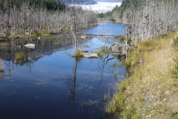 Geleira Mendenhall; Juneau, Alasca — Fotografia de Stock