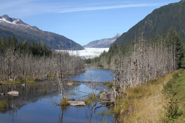 Mendenhall glacier; Juneau, Alaska — Stock Photo, Image