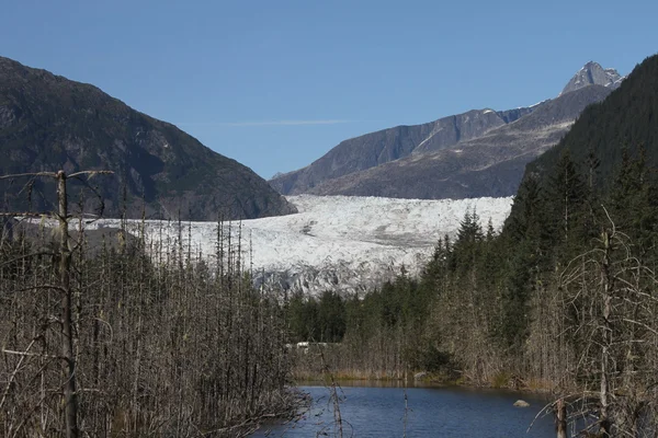 Mendenhall gletsjer; Juneau, Alaska — Stockfoto