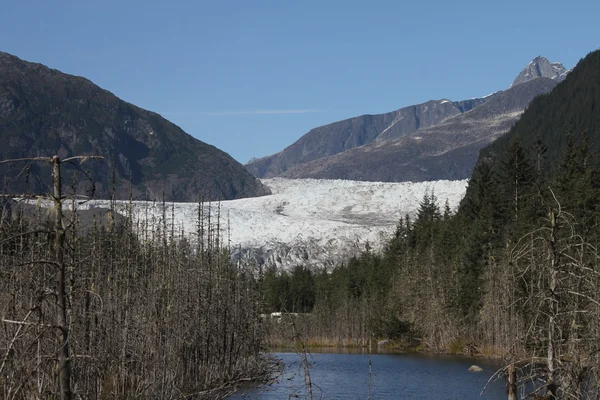 Geleira Mendenhall; Juneau, Alasca — Fotografia de Stock