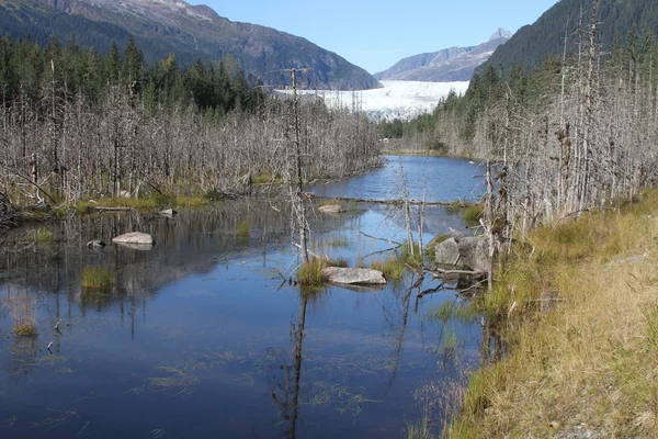 Mendenhall glacier; Juneau, Alaska — Stock Photo, Image