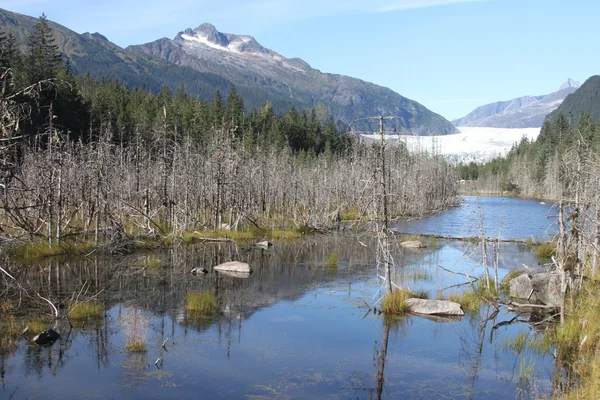 Mendenhall glacier; Juneau, Alaska — Stock Photo, Image