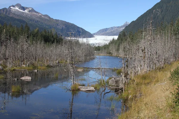 Mendenhall glacier; Juneau, Alaska — Stock Photo, Image