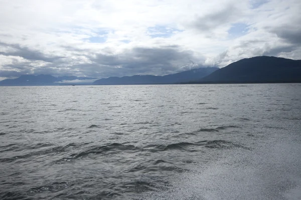 Whales in inside passage, Alaska — Stock Photo, Image