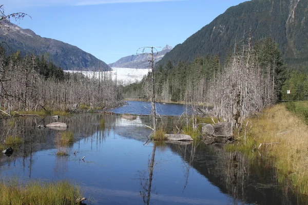 Mendenhall glacier; Juneau, Alaska Stock Photo