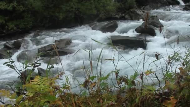 Alaskan outdoors — Stock Video