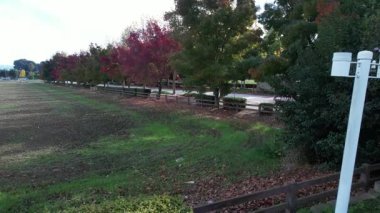 Saçakların renk değiştirdiği hava videosu, Gilroy, California, ABD