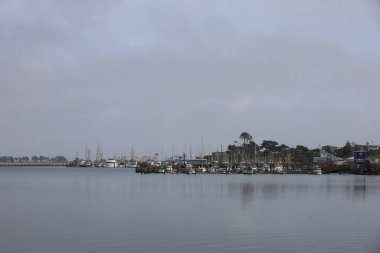 Fotoğraf: Bodega Körfezi, Kaliforniya ABD