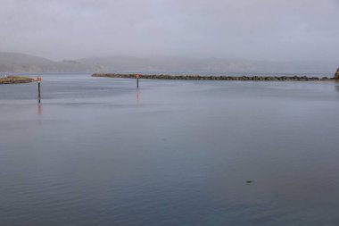 Fotoğraf: Bodega Körfezi, Kaliforniya ABD