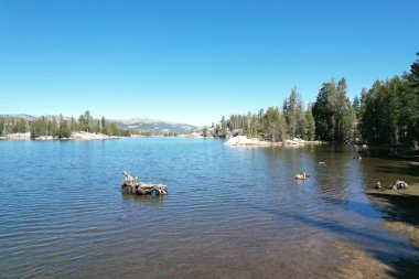 Utica Gölü 'nün havadan çekilmiş fotoğrafı, Kaliforniya, ABD