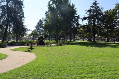 11-6-2025: Pasadena, California, ABD: Pasadena şehir merkezi, Güney Kaliforniya, ABD