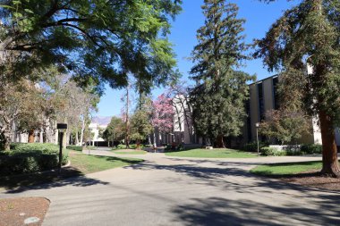 11-6-2025: Pasadena, California, ABD: Caltech Üniversitesi, Pasadena, Güney Kaliforniya, ABD