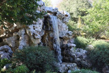 11-1-2025: Pasadena, California, ABD: Huntington kütüphanesi ve bahçeleri