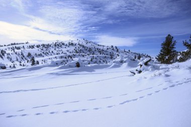 Kışın Güney Idaho