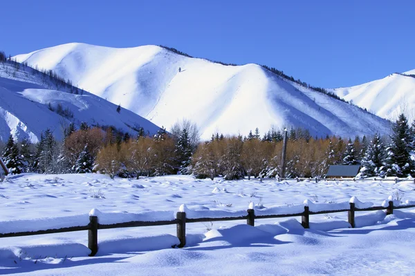 Idaho meridionale in inverno — Foto Stock